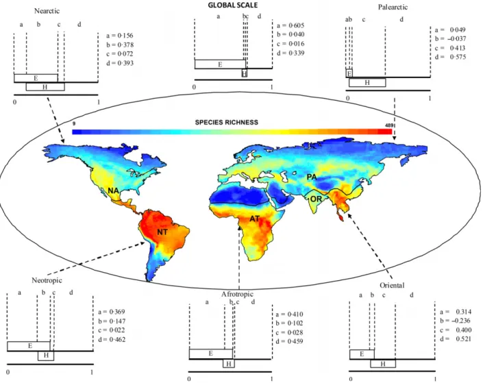 Fig. 1. Richness patterns of terrestrial mammal species at the global scale. Abbreviations for biogeographical realms are: Afrotropic (AT), Nearctic (NA), Neotropic (NT), Palearctic (PA) and Oriental (OR)