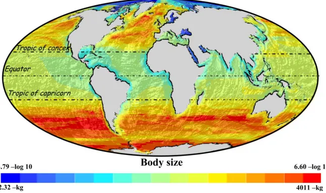 Figure 1. Geographic distribution patterns of body size in marine mammals of the world