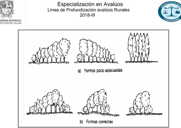 Figura 5 – Formas de Cortaviento, Garcia Salmerón (1966) 