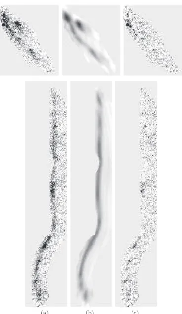 Figure 10. Frame displaying the region used around the giant arc (a) and its counterimage (b) in this galaxy cluster