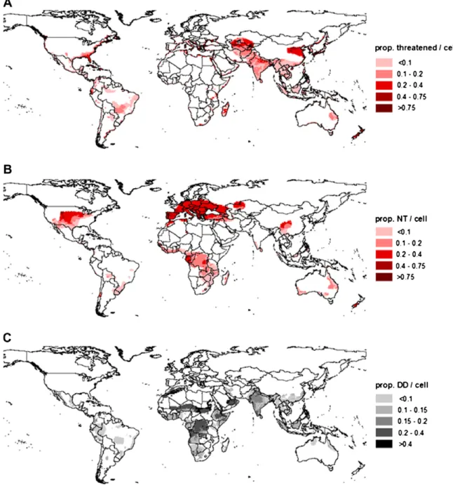 Fig. 2. Distribution of threatened (CR, EN, VU), Near Threatened (NT) and Data Deﬁcient (DD) species in the sample (terrestrial and freshwater only), expressed as the proportion of all species present per grid cell: (A) proportion of species classed as thr
