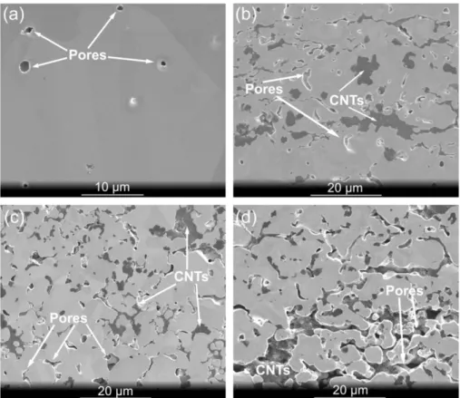Fig. 1 – SEM micrographs of (a) pure Ni, and a Ni matrix with (b) 1.0%, (c) 3.0% and (d) 5.0% MWCNTs in weight
