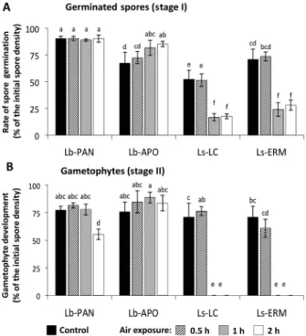 Figure 3 Effect of air exposure on the development of spores from  Lessonia berteroana (Lb-PAN and Lb-APO) and Lessonia spicata  (Ls-LC and Ls-ERM) from different sites (abbreviations as in Figure  1)