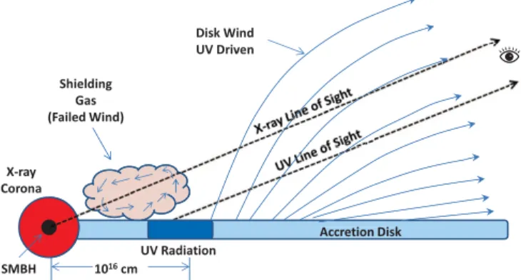 Figure 1. A schematic diagram of the disk-wind scenario for BAL quasar outflows. The wind is launched from the accretion disk at ≈10 16 –10 17 cm and is driven by UV radiation from the disk