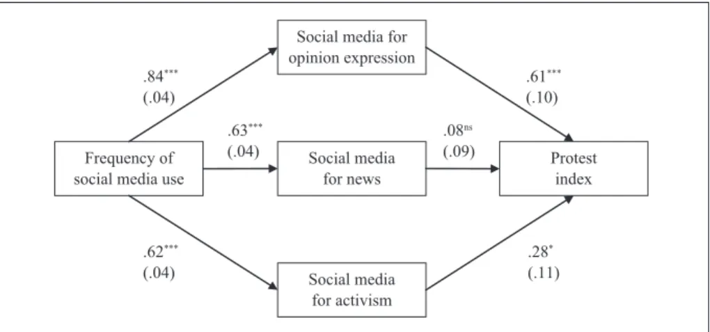 Figure 2.  Path model of protest behavior.