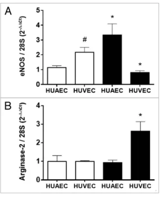 Figure 1. Expression of eNOS and arginase-2 in normal and IUGR cells  relative to normal hUaEc