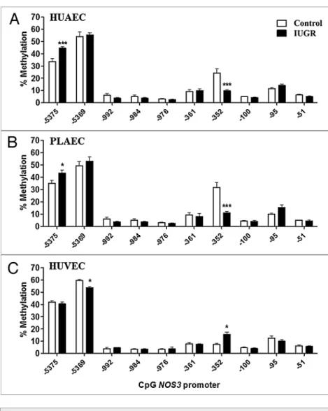Figure 3. comparison of DNa methylation status in the NOS3 promoter of normal and  IUGR cells