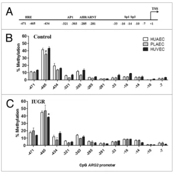 Figure 6. comparison of DNa methylation status in the ARG2 promoter  of normal and IUGR cells