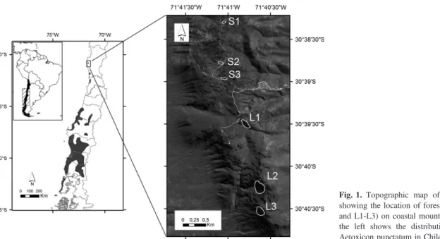 Fig. 1. Topographic map of the study area showing the location of forest patches (S1 -S2 and L1 -L3) on coastal mountaintops