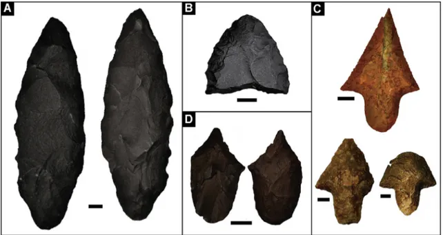 Fig. 4. Surface lithic tools from QM12 site. A. Thin, elongated bifacial tool; B. Naturally broken bifacial tool reworked in one margin as a burinant point, and as a side-scraper; C.