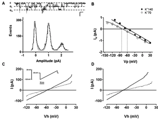 Fig. 1. Electrophysiological and pharmacological properties of TASK-like current in CB chemoreceptor cells from adult rats