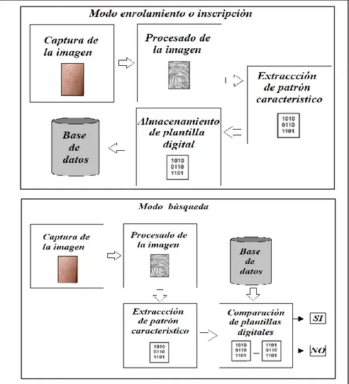 Figura 16: Diagrama de bloques de los modos de funcionamiento de un sistema biométrico