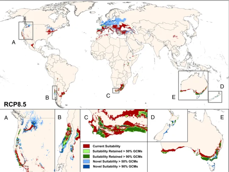 Fig. 1. Global change in viticulture suitability RCP 8.5. Change in viticulture suitability is shown between current (1961 –2000) and 2050 (2041–2060) time periods, showing agreement among a 17-GCM ensemble