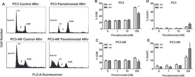 Figure 2: PC3 and PC3-AR cells were treated with increasing concentrations of panobinostat for 24 and 48 hours