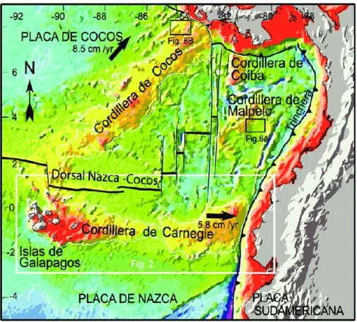 Figura 5. Marco geodinámica de la Cordillera de Carnegie, el cual indica la relación en cuanto a los  movimientos de la placa nazca y cocos con respecto a la placa sudamericana considerando esta última como 