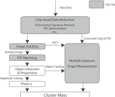 Figure 2. Flow chart of our data analysis procedures.