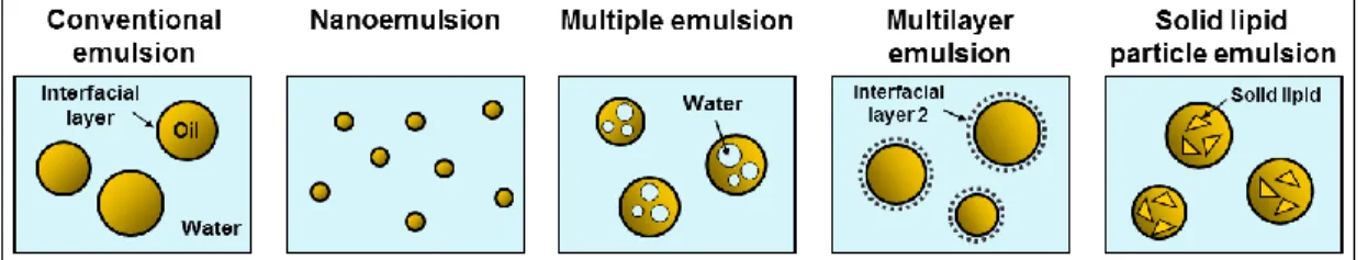 Figure 1.1. Examples of different emulsions-based delivery systems  