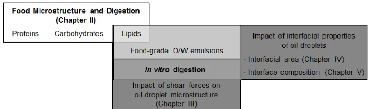 Figure 1.2. Overview of the studies comprising this thesis. 