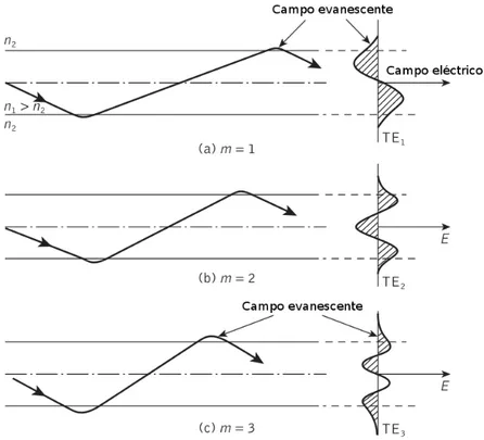 Figura 2.4: Penetraci´ on en el recubrimiento del campo el´ectrico de la onda guiada por la fibra que da lugar al campo evanescente [2].