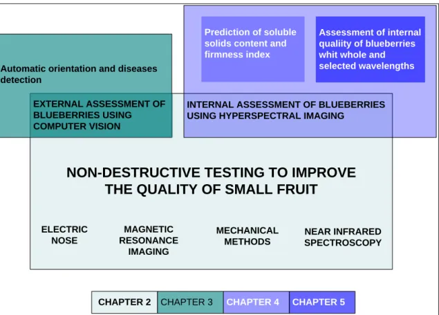 Figure 1.3 Overview of the studies comprising this thesis. 