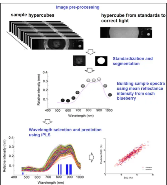 Table  2.5  shows  different  applications  to  measure  fruit  attributes  using  hyperspectral  imaging  systems