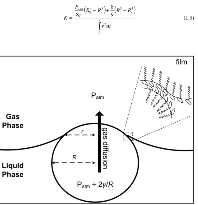 Figure 1.3:  Schematic representation  of  gas  diffusion  process  from  a small bubble into  the  outer  medium  due  to  Laplace  pressure  in  the  diminishing  bubble  approach