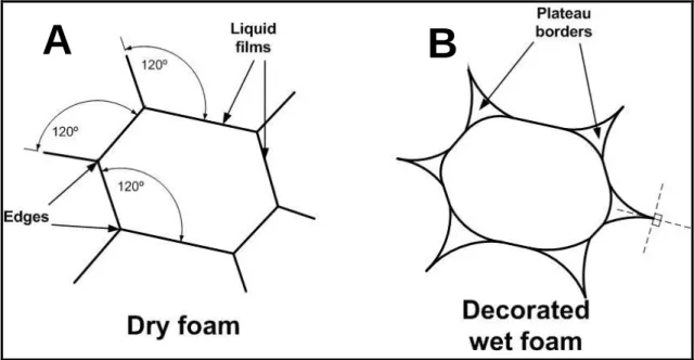 Figure 1.4: Foam structure description. (A) In dry foams bubbles adopt polyhedral forms  where  Plateau  borders  can  intersect  only  3  at  a  time  and  at  angles  of  120º