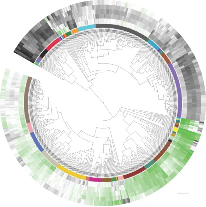 Figure 4. Hierarchical clustering of the S. cerevisiaetranscriptome data obtained for  the five dissolved oxygen conditions