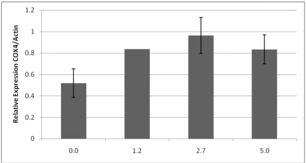 Figure 6. Relative expression of the COX4 gene under different dissolved oxygen  conditions as determined by conventional RT-PCR