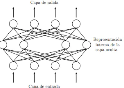 Figura 5. Arquitectura de feedforward. 