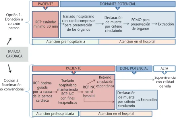 Figura  1. Opciones  de  manejo  de  las  víctimas  de  parada  cardiaca  inesperada.  Tomado  de  ref