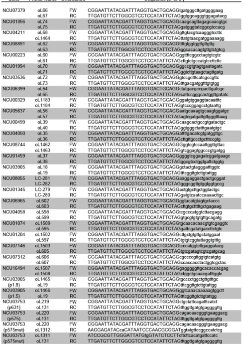 Table 1. Primers used for transcriptional fusion constructs. The primers listed here were used to generate transcriptional fusions between the promoter region of the genes mentioned and the luciferase coding  region, at  the his-3  locus