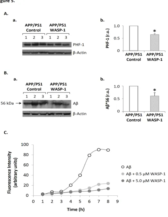 Figure  5.  WASP-1  reduces  tau-phosphorylation  in  the  hippocampus  of  APP/PS1  mice  and  blocks Aβ aggregation