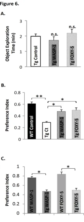 Figure 6. Wnt activators rescue memory impairment in adult APP/PS1 mice. (A-C) Behavioral  performance of APP/PS1 mice treated with WASP-1 (n = 7), FOXY-5 (n = 6) and control (n =  7),  evaluated  by  the  novel  object  recognition  test