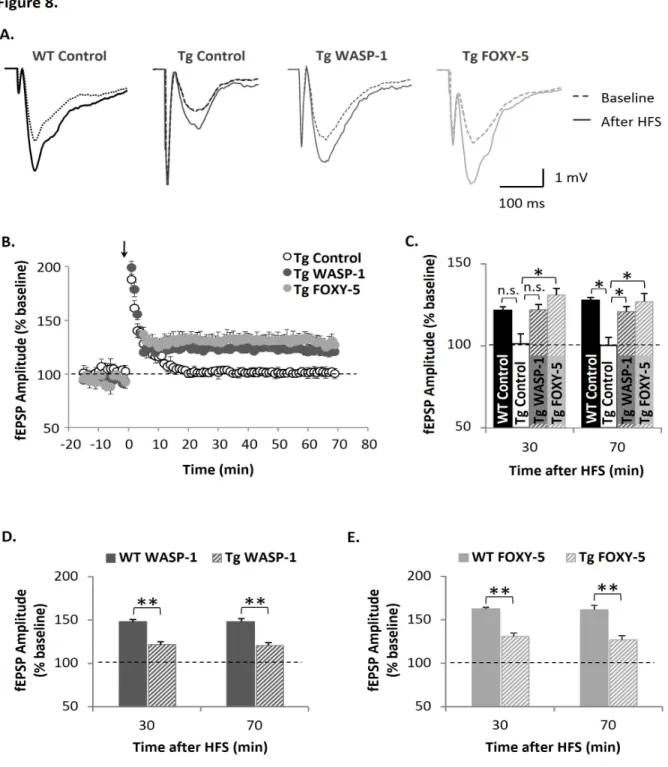 Figure 8. Wnt activators rescue LTP deficit in adult APP/PS1 mice. (A-B) Field recordings of  hippocampal slices from APP/PS1 animals treated with WASP-1 (n = 8), FOXY-5 (n = 8) and  control WT (n = 10) or APP/PS1 (n =9) mice