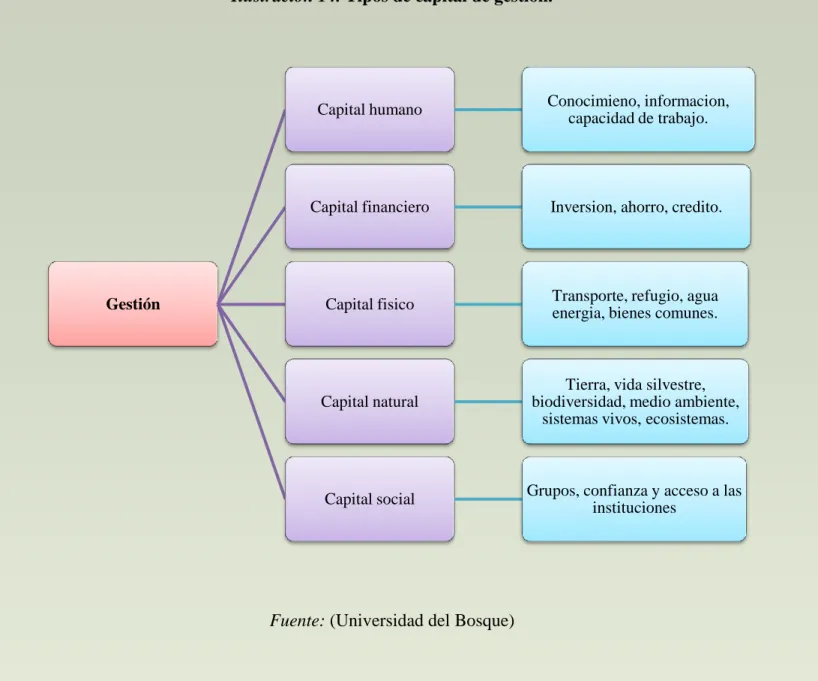 Ilustración 14. Tipos de capital de gestión. 