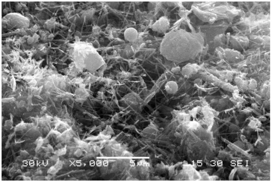 Figure 1.5  Ettringite needles bridging fly ash particles in FRCA-based CLSM  (fracture surface, SEM secondary electron image)