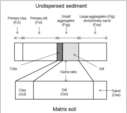 Figure 1. Composition of the undispersed sediment and matrix soil. The ratio of clay to  silt in the small aggregates is assumed to be the same as that in the matrix soil