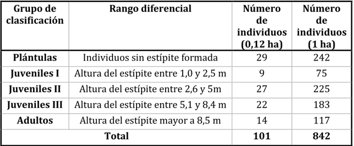 Tabla 4: Categorías etarias para la especie M.Flexuosa L.f. en la población Puerto López 