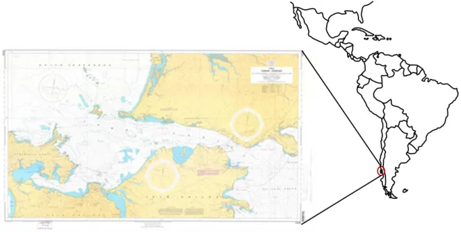 Fig. 1. Study area in the Chacao channel. Source: SHOA. 