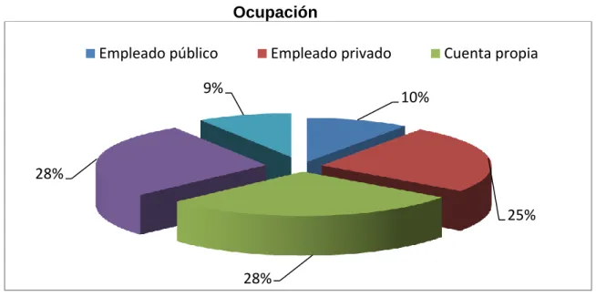 Gráfico No. 4  Ocupación 