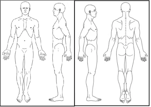 Figura 3.4: Silueta corporal, visión anterior, lateral y posterior  Fuente: Travell JG, Simons LS