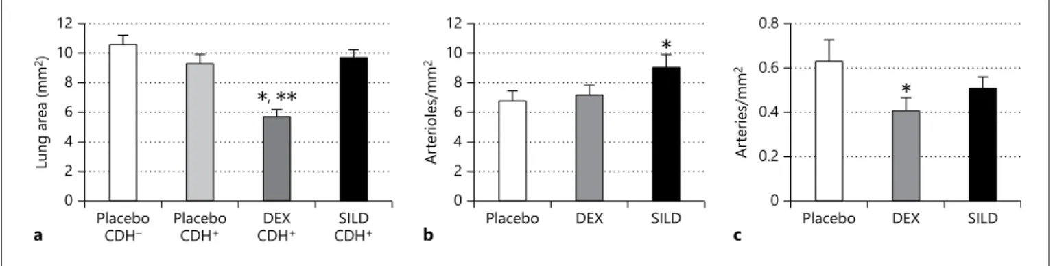 Fig. 4.  Number of pulmonary arterioles and arteries adjusted by lung  area in rat CDH induced by nitrofen