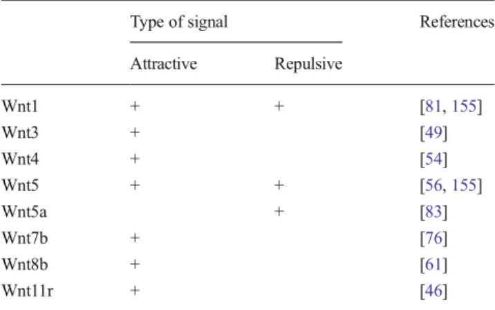 Table 1 Effect of Wnt ligands in axonal guidance