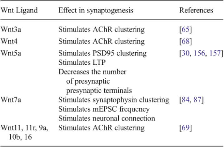 Table 2 Effect of Wnt ligands in synaptogenesis