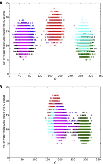 FIGURE 6 Relation between dihedral angles c3 of Arg-143 and c1 of Phe-29 with water occupancy within the IC pocket