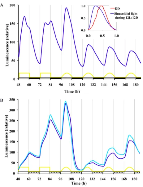 Figure 6.  response to a quasi-natural sinusoidal pattern of light during 12L:12d  treatment reveals very different waveforms of frq expression compared with Ld  square waves