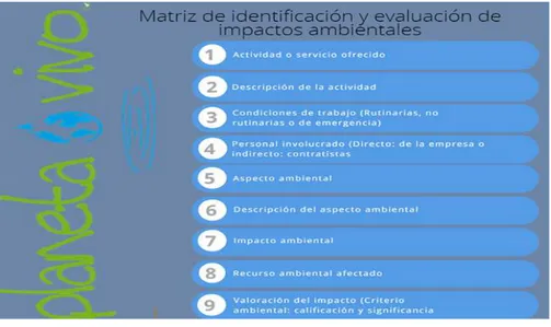 Ilustración 3: Estructura matriz de identificación y evaluación de los impactos ambientales 