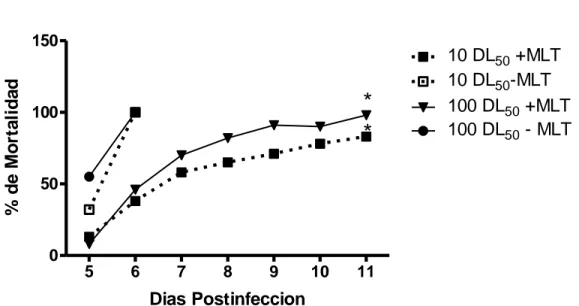Figura 1. Efecto de la  MLT sobre la tasa de mortalidad (n=15) de ratones inoculados con 10 y  100  DL 50   de  virus  de  Encefalitis  Equina  Venezolana  (EEV)