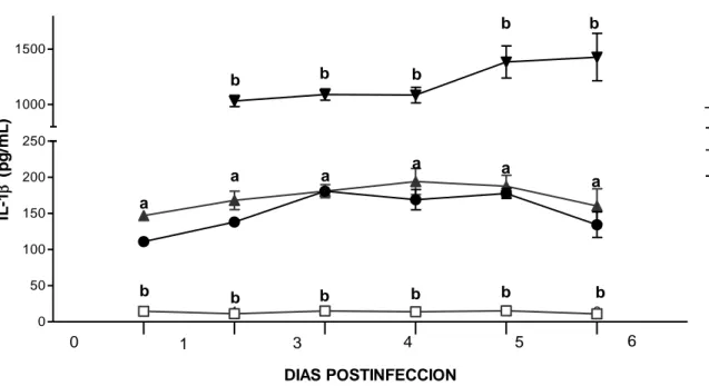 Figura 5.- Niv e le s séricos de  IL-1 e n ratone s infe ctados con e l v irus de  la EEV e n dife re nte s e stadios postinfe ccion